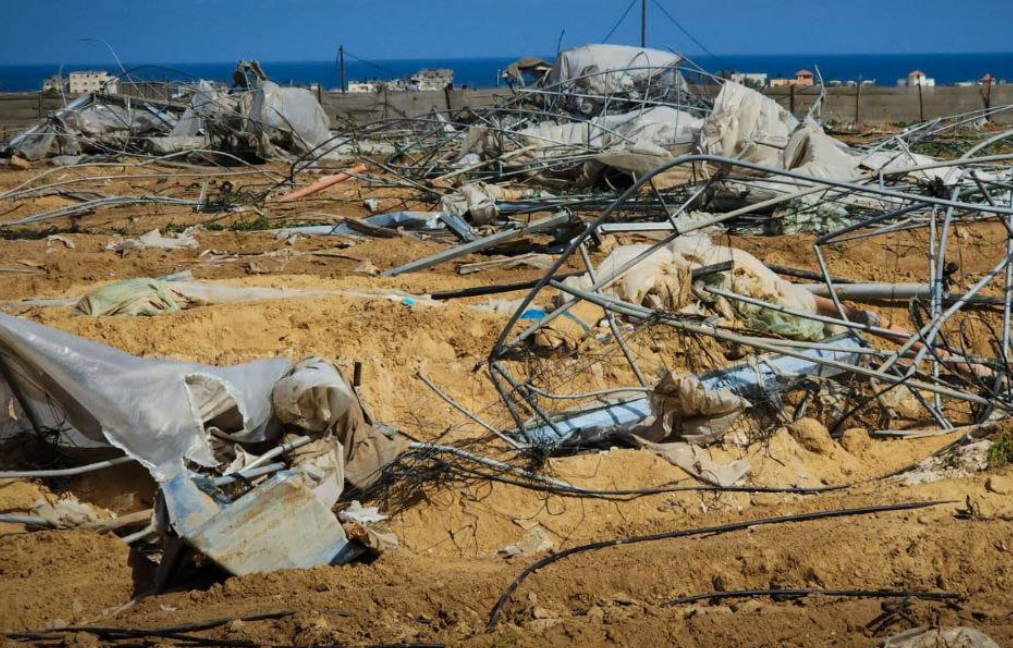 Kerusakan Lahan Pertanian Gaza Capai Lebih dari 80%, Ancaman Kelaparan Meningkat